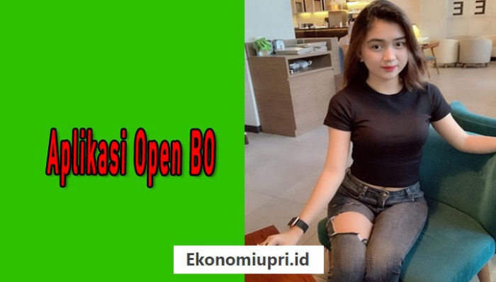 Aplikasi Open Bo: Cara Aman Mencari Jasa Open BO