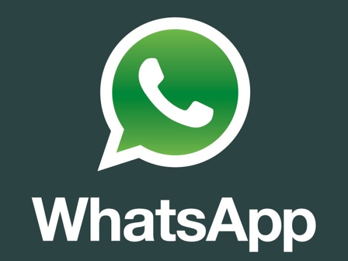 Cara Instal WhatsApp: Panduan Langkah demi Langkah untuk Pemula