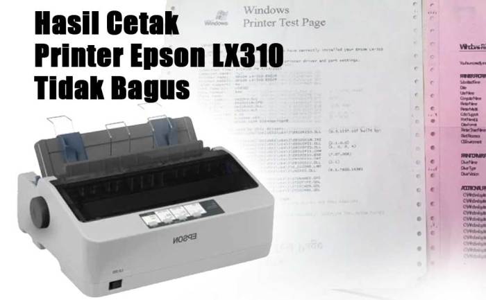 Cara Mengatasi Hasil Cetak Printer Epson LX310 Buram Tidak Jelas