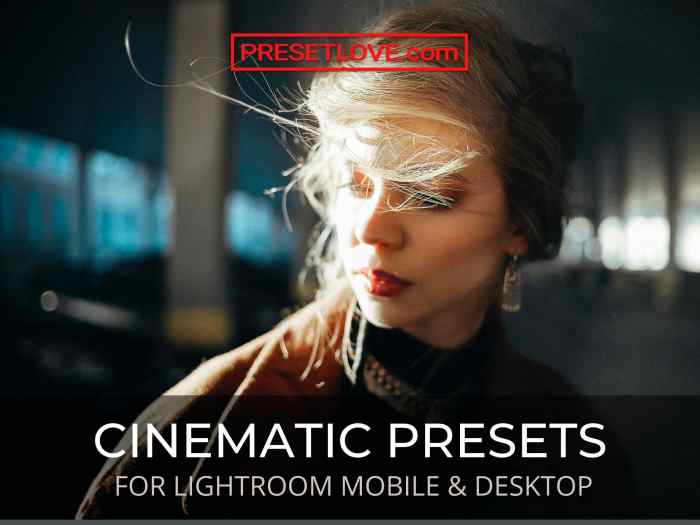 Cinematic Lightroom Presets Featured