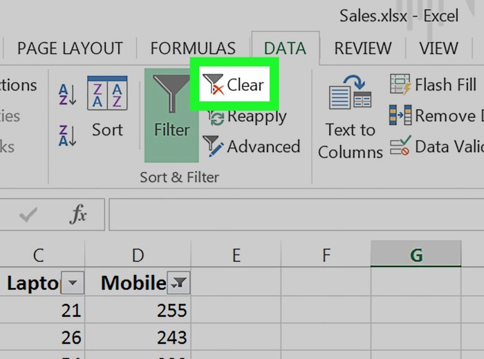 Clear Filters in Excel Step 8