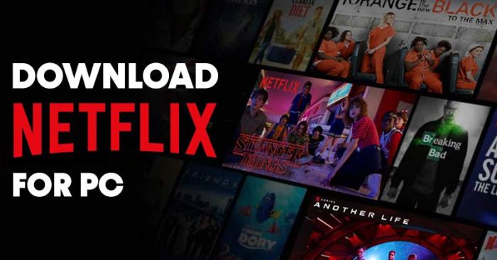 Download Netflix for PC