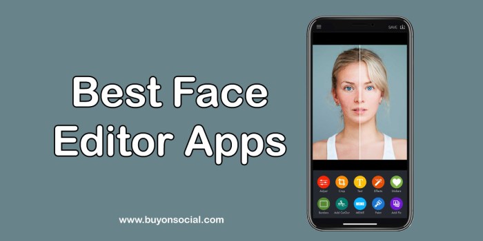Face Editor App