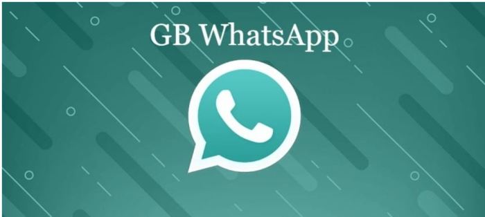 GB WhatsApp Pro APK v10.00 3