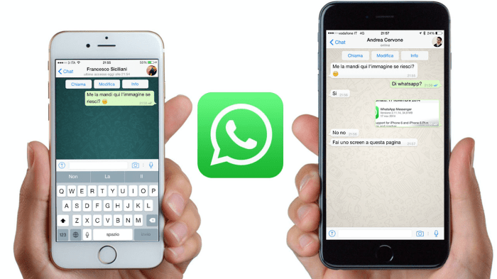 How to Transfer Whatsapp Business Chats Between IOS and Android.
