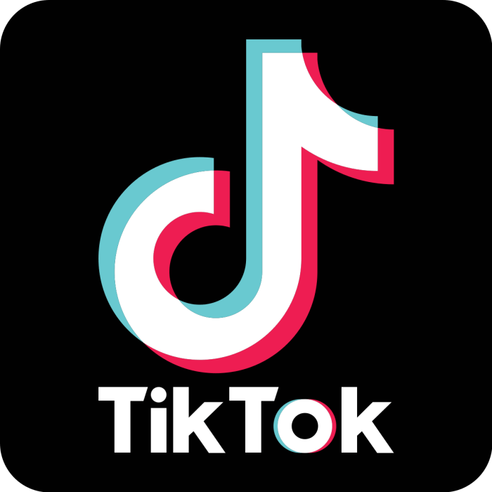 How to download and install TikTok app on Windows 10 1