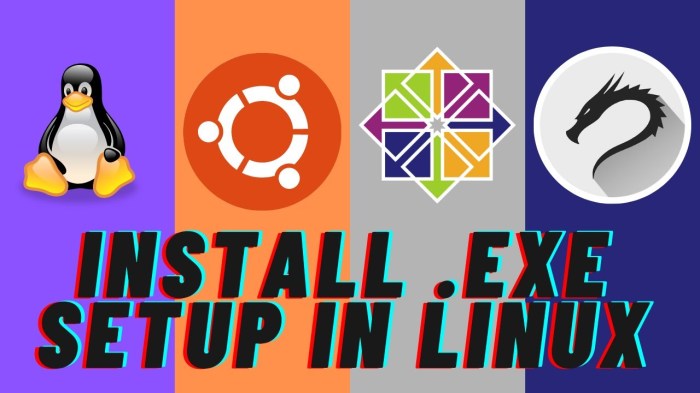 Install exe file in ubuntu Kali Linux CentOS and other
