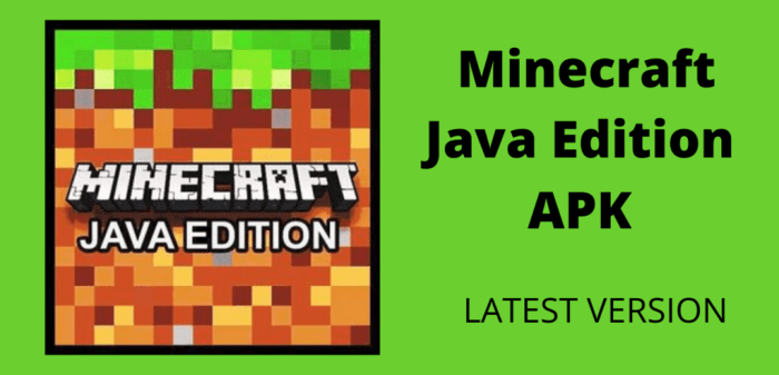 Minecraft Java Edition APK 1 1024x493 1