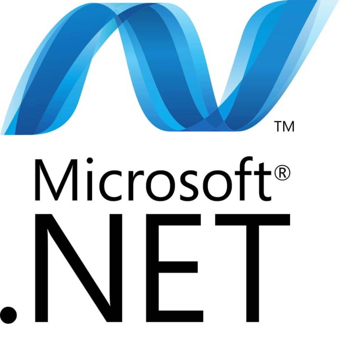 NET Framework 3.5 download link 1