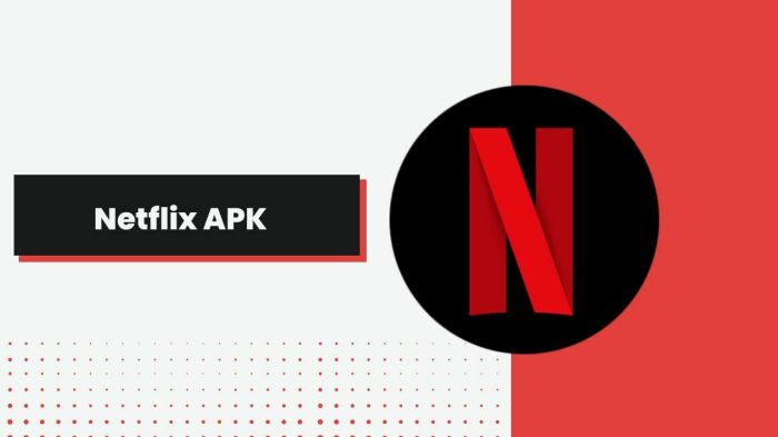 Netflix APK
