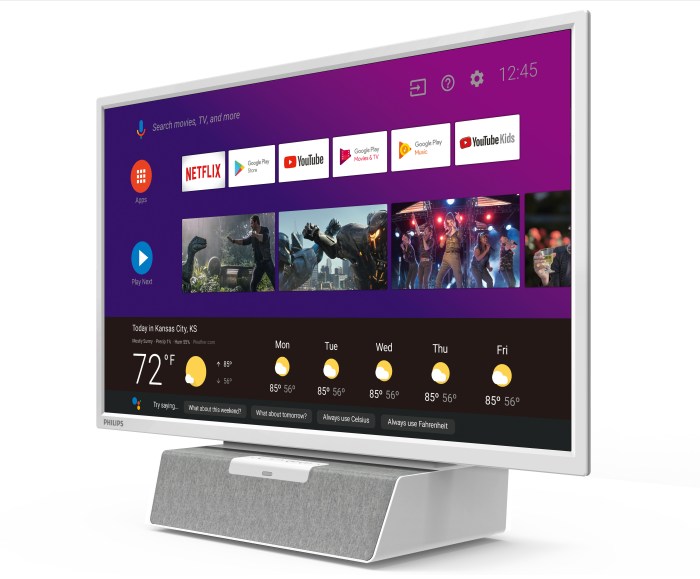 Philips 24 Inch Android TV