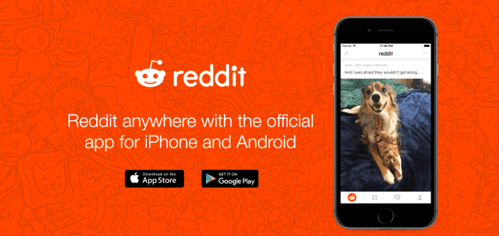Reddit App For Android and iOS 1