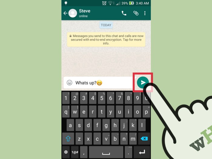 Send Messages on WhatsApp Step 21