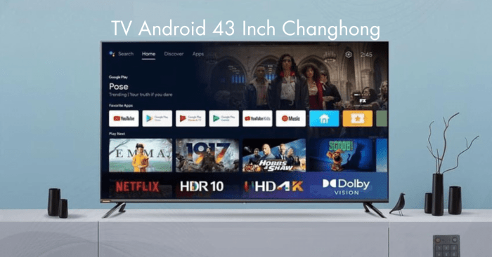 TV Android 43 Inch Changhong