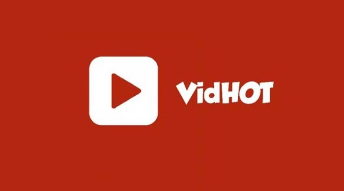 Vidhot Aplikasi Video Menarik Yang Viral 768x427 1