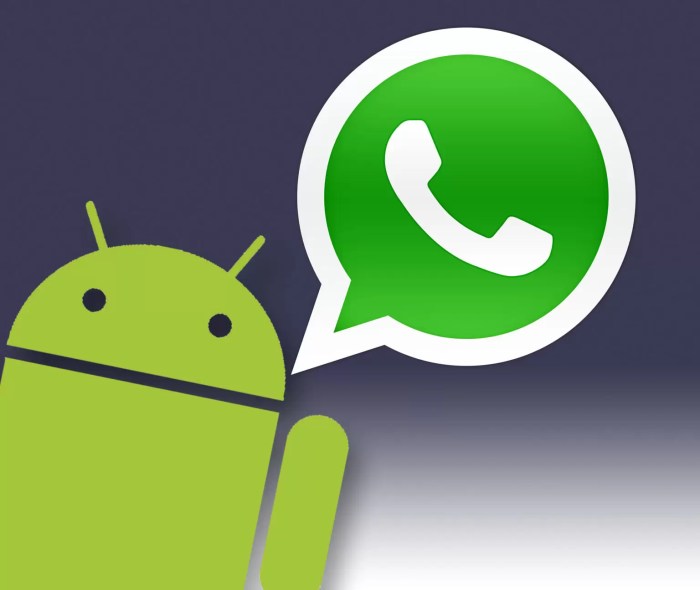 WhatsApp para Android 1536x1295 2