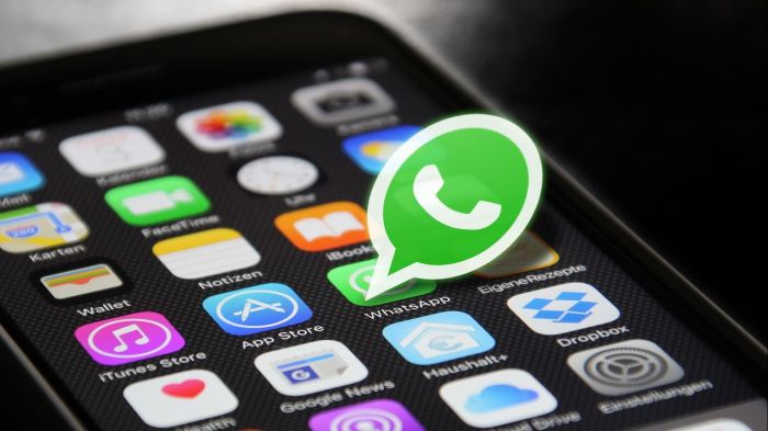 Instal WhatsApp Double: Cara Punya Dua Akun di Satu Perangkat