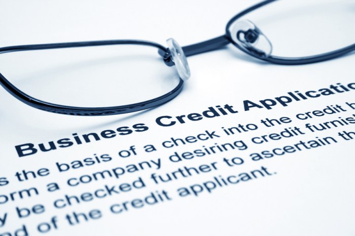bigstock Business Credit Application 23798513