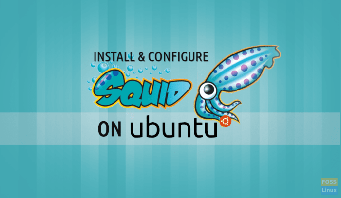 install squid on ubuntu