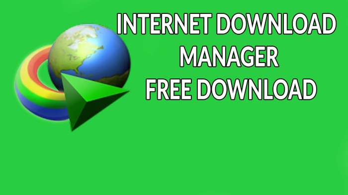 internet download manager free download compressed