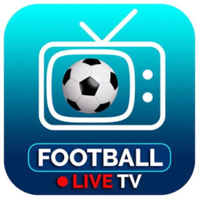live football free app screenshot 1