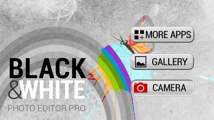 p black white photo editor pro OuYBlTLHaT 1