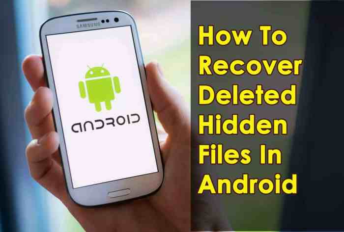 recover hidden files on android scaled 1