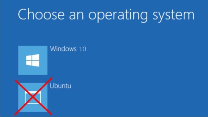remove ubuntu from boot