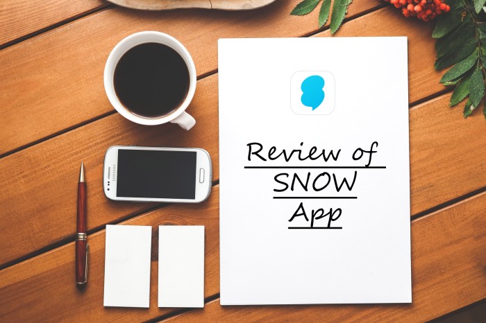 review of snow app