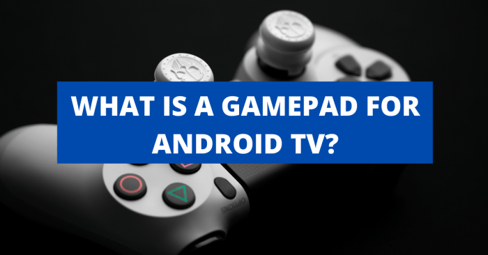 what is a gamepad for android tv