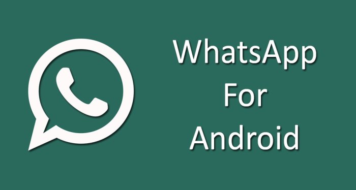 whatsapp logo image