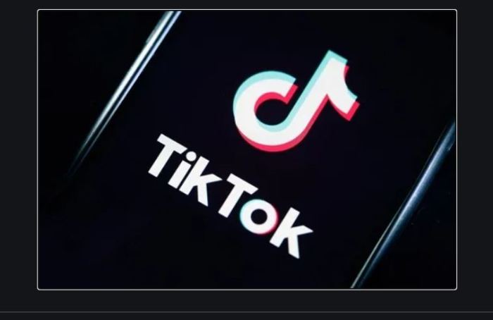 TikTok APK TikTok for Android APK Download Free 1 1 1 1 1