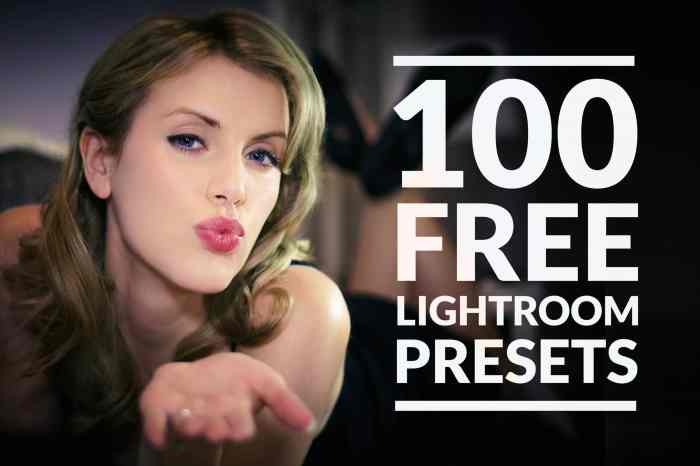 Free Lightroom Presets to Download scaled