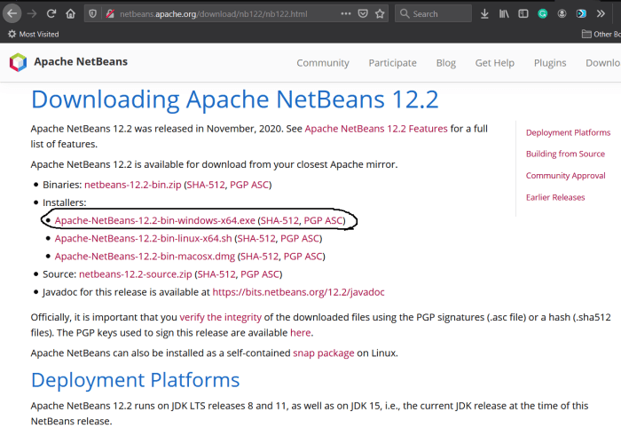 install netbeans for java on windows download options