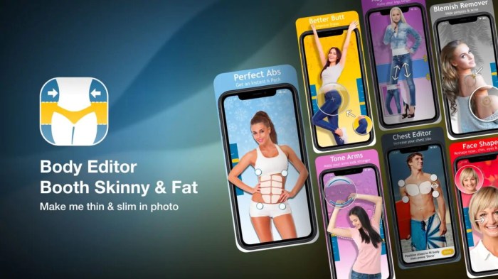 Body Editor Booth Skinny Fat x