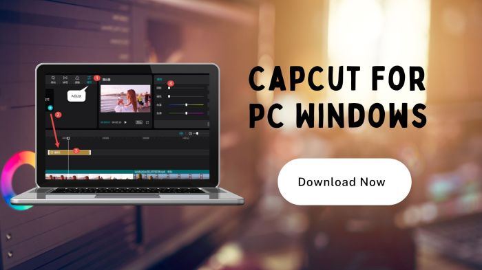 CapCut For PC