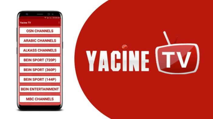 Download Yacine TV APK x
