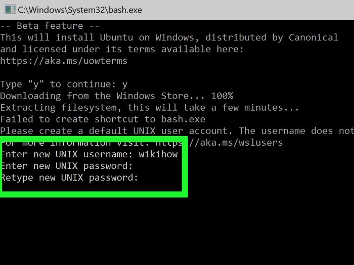 Enable the Windows Subsystem for Linux Step