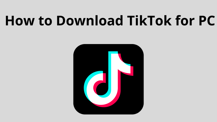How to Download Tik Tok for PC