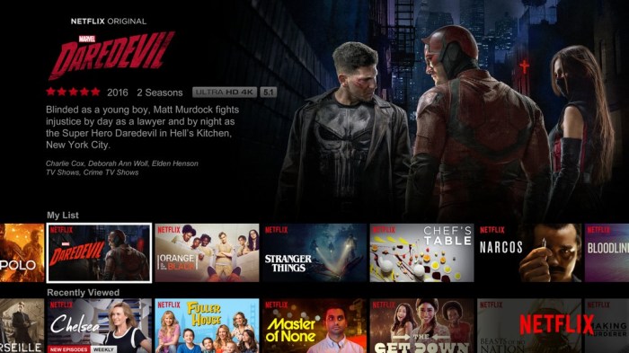 Netflix PR Darwin TV UI MarvelsDaredevil ENGLISH US