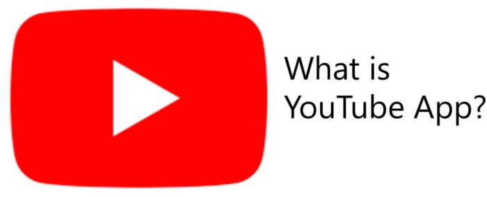 What is Youtube app x