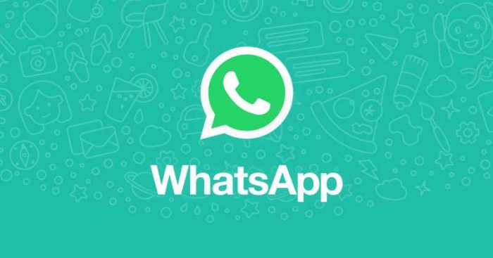 WhatsApp mod APK plus
