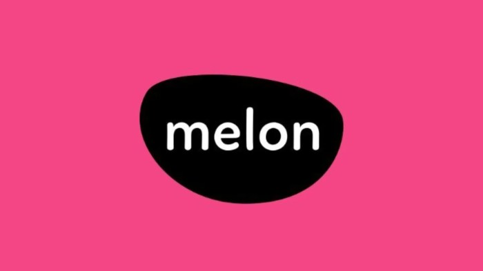 melon app live streaming review