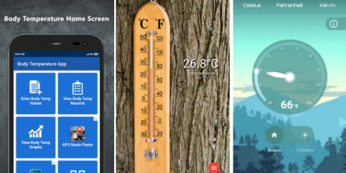 mobile temp apps
